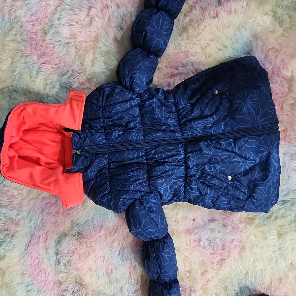 Blue Puffer
